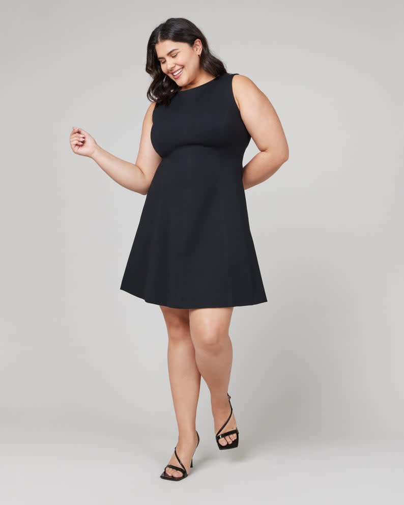 Perfect Fit and Flare Dress