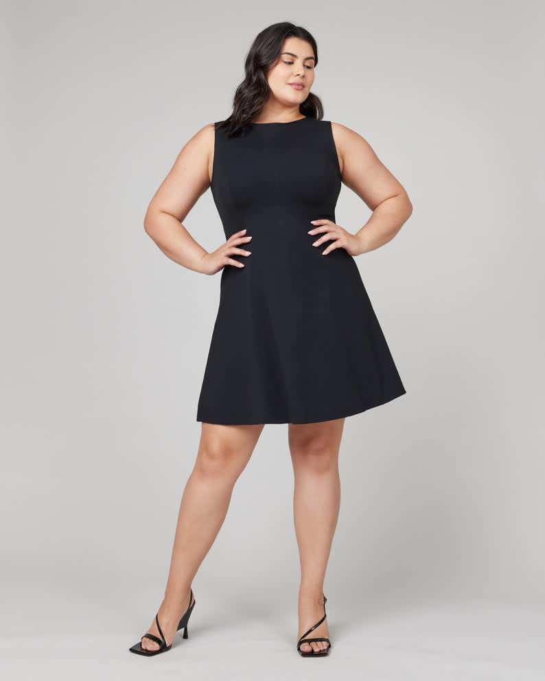 Perfect Fit and Flare Dress