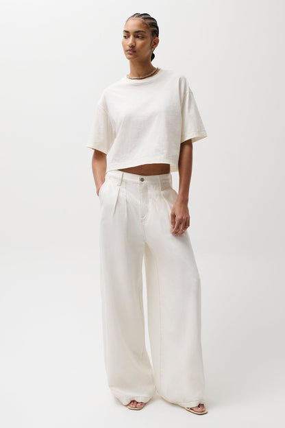 Delphine Pleated Denim Wide Leg