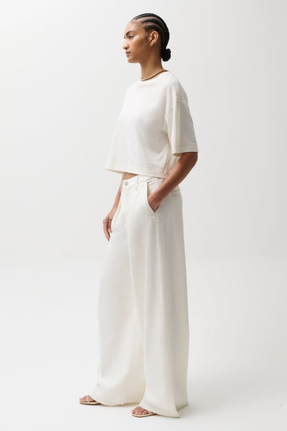 Delphine Pleated Denim Wide Leg